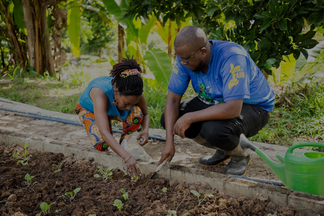 Man and woman squatting while attending to young plants in a planter bed